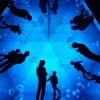 Avatar 2