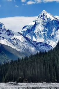 _ccl532450001186**** 古侖伯格酒店優惠