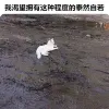 Avatar 3