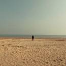 ђย๓คภɭ๏รՇ