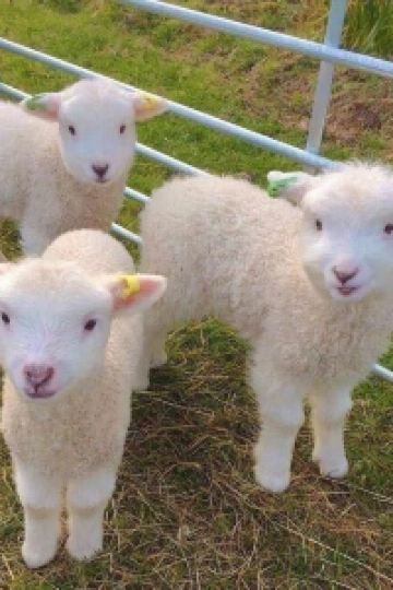 Yibaiyu 上海外灘璞硯酒店優惠