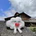 qingchensos