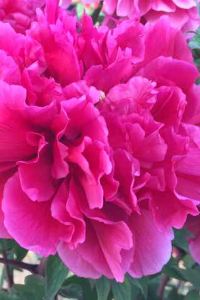 Zhangfangjun 大理洱海公園希爾頓歡朋飯店優惠