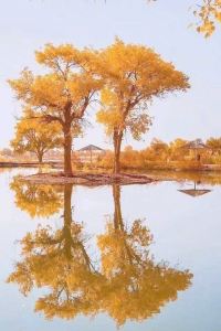 Huo Lijun 惠州翡翠山華美達酒店優惠