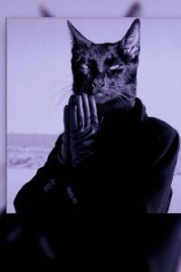 Horus. 達沃水畔島嶼飯店優惠