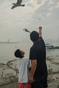 Tuibian 卡爾頓酒店優惠