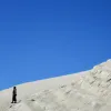 Avatar 3