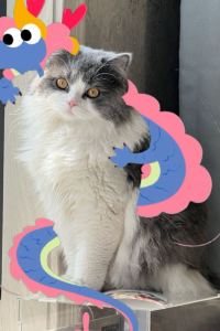 M500916**** 杭州開元蕭山賓館優惠