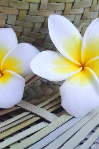 Rongronguser 大阪澱屋橋利夫馬克斯飯店優惠