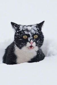 M364914**** 廣州粵海喜來登酒店優惠