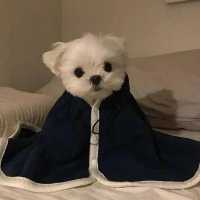 一个立志走遍全世界的我