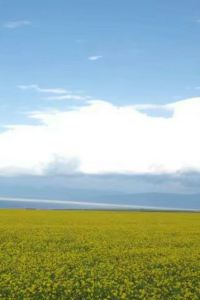 Jiuhaibugan 維也納飯店（上海北橋地鐵站店）優惠