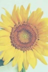 KRyoucaihua スーパーホテルLohas池袋駅北口 高濃度人工炭酸泉　ふくろうの湯 クーポン