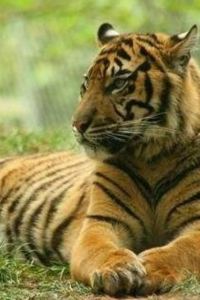 Hanyue 麗楓飯店（北京房山良鄉大學城北地鐵站店）優惠