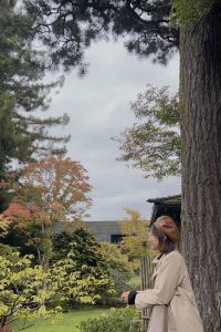 訪客用戶 拉斯維加斯馬戲團娛樂場飯店優惠