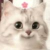 user-icon