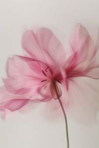 M234274**** 中山為民酒店優惠