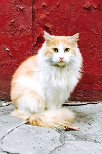 conejo143 廣州天河體育中心美居酒店優惠