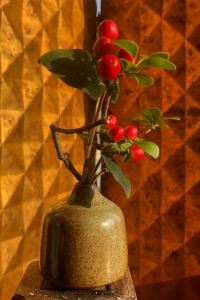 Lanhuanvren 威海希爾維亞飯店優惠