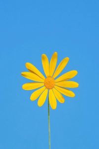 M251479**** 木材旅舍優惠