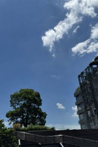 訪客用戶 長灘島探索海灘度假村優惠