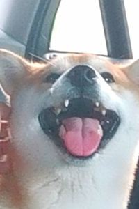 _WeChat340695**** 墨爾本迎賓美居飯店優惠