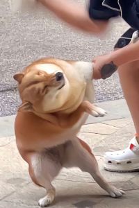 M335748**** ホテルラフィーネ 難波店 (大人専用) クーポン