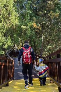 M13897**** 合肥綠地福朋喜來登飯店優惠