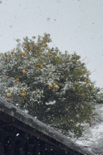 Hahaxixidehaha M’s Plus 四條大宮酒店優惠