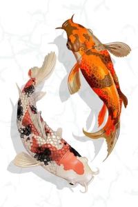 Drjunxingshi 蘭州民航招待所優惠