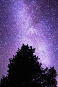 M480537**** 重慶麗晶飯店優惠