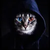 Avatar 1