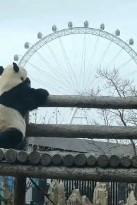 Linjiangcundamingbai 只為你旅舍優惠