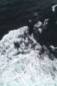 117719**** 簡愛飯店 （上海西站店）優惠