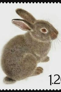 splinhk 瀘沽湖晏坐湖景清奢民宿（大落水村店）優惠