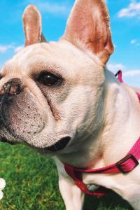 WuQian ʚ🌈ᰔᩚᥫᩣ 沖繩太陽碼頭喜來登度假酒店優惠