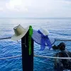 Avatar 1