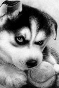 320111**** 都江堰百倫國際飯店優惠