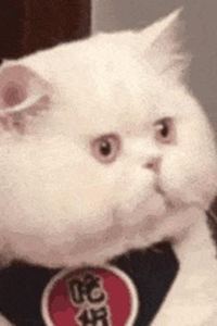 Leslie　 上海天山廣場凱悅嘉軒飯店優惠