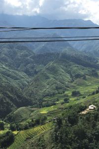 E263692**** 哥打魯米諾WH飯店優惠