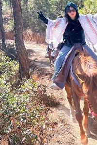 Moneyzhuang 南投清境天星渡假山莊優惠