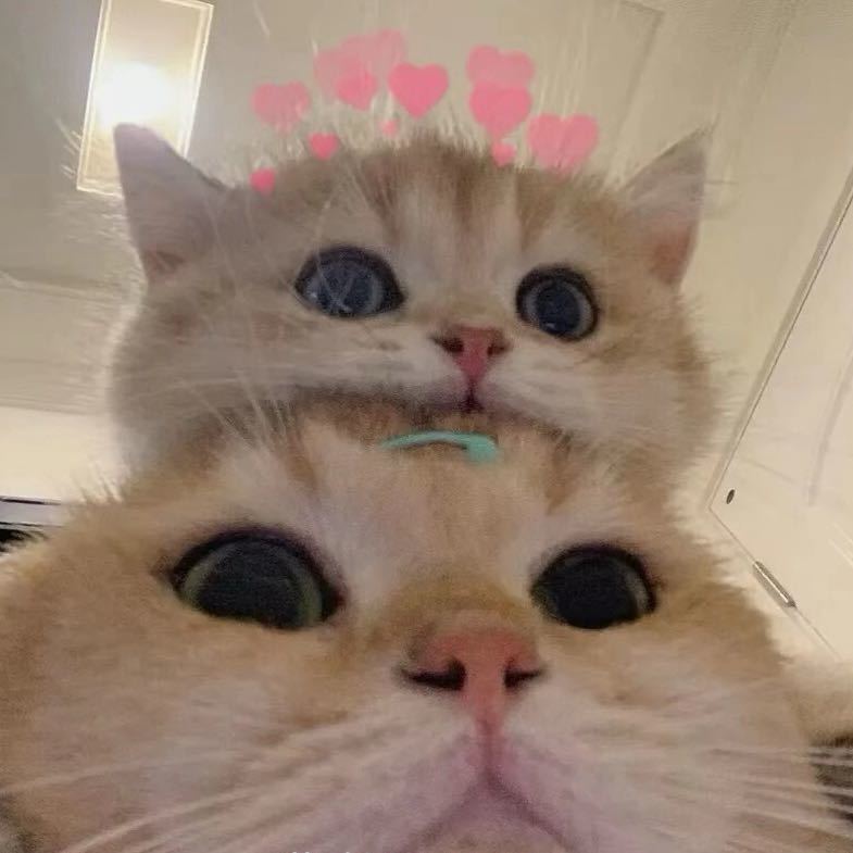 head-img