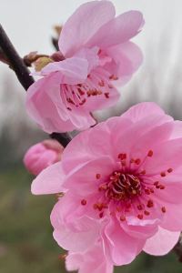 Baihu1988 九點連鎖飯店（成都四川大學火車南站店）優惠