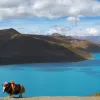 Avatar 1