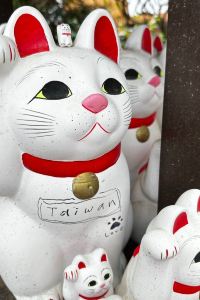 Boamengmeng 麗灣飯店（福州長樂國際機場店）優惠