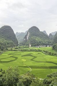 _WeChat526819**** 廣州卓美亞飯店優惠