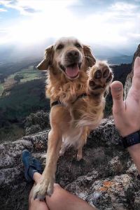 Calvin Cao caominghua 宜必思大阪梅田飯店優惠