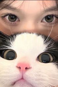 M47825**** 城市萬宜飯店（深圳國際會展中心沙井店）優惠