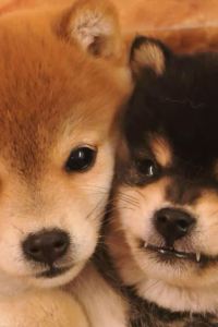 Libuzhiqihaizhuangdexiaozuojing グランディスタイル 沖縄読谷ホテル＆リゾート クーポン