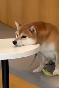 M469648**** 米途精選公寓（珠海拱北中安廣場店）優惠